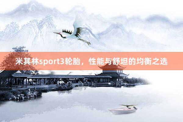 米其林sport3轮胎，性能与舒坦的均衡之选